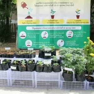 14 Years of Father Ray Foundation